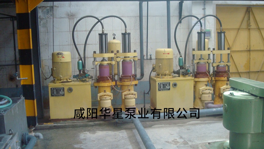 西安電瓷廠-進料泵.JPG