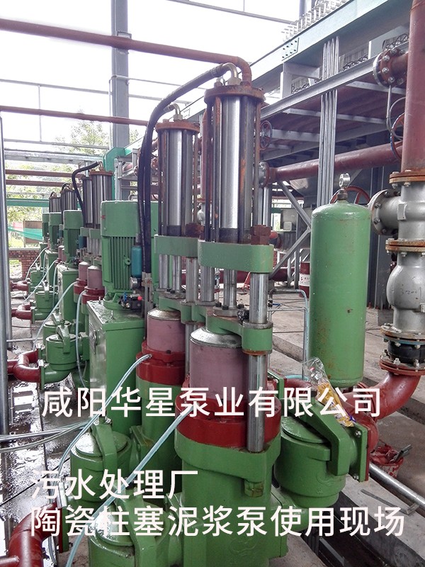 山東淄博光大水務(wù)-市政污水處理-水印5