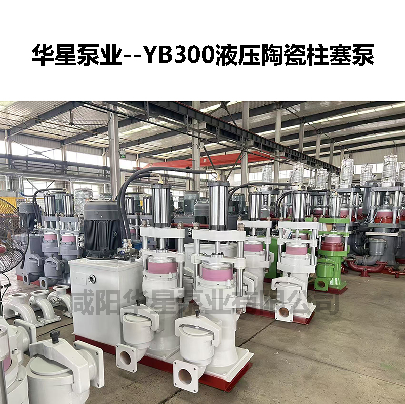 YB300液壓陶瓷柱塞泵-12 YB300液壓陶瓷柱塞泵-12